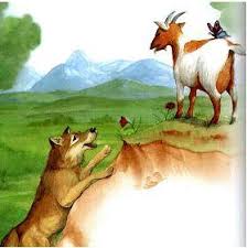 lobo e uma cabra em cima do lobo